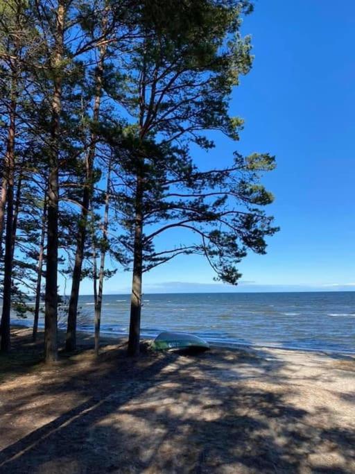 Lovely Apartment By The Sea. Ķesterciems エクステリア 写真